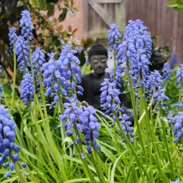 Buddha and flowers